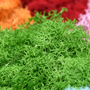 20g Plante Artificiale Veșnică Moss DIY Floare Verde Iarbă Material Decorativ de Perete Home Garden Decor Micro Peisaj Accesorii