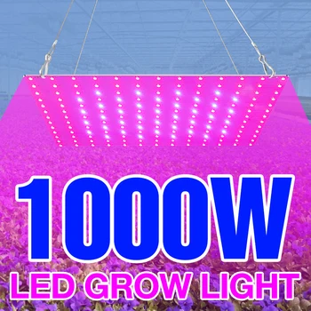 Quantum Bord, LED Cresterea Plantelor Lumina Spectru Complet 220V Phytolamps 1000W Interior Semințe Bec 1500W Fito Lămpi de Flori să Crească de Iluminat