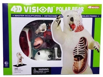 4D Master asamblate anatomie animal urs polar urs polar model animal uz medical