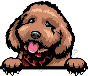 Pentru COCKERPOO / Cockapoo trage cu ochiul de Câine de Culoare Fereastră Perete Sticker Laptop w/dovada