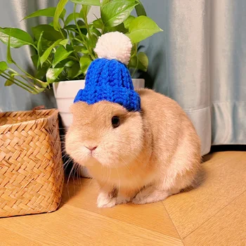 Hamster tricotate pălărie de iepure decorative, îmbrăcăminte pentru animale mici eșarfă guler haine cobai Est și Vest Iepure accesorii