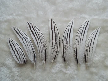 20buc/lot! 6-10cm NATURALE Curbat Argint Fazan Mici Pene,Ambarcațiuni Alb&negru Pene pentru Bijuterii