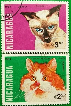 2 BUC,Nicaragua Post de Timbru,1984,Cat de Timbru,Timbre Animale,Colecție de timbre,Folosit cu Post Mark