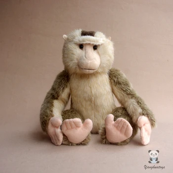 Animale de pluș jucărie viața reală Macaca leonina păpuși rare maimuță prezent jucării moi