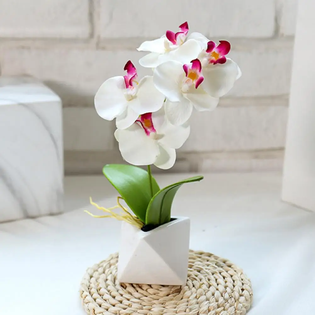 Mătase Fluture Orhidee Ceramica Bonsai Artificial Flori cu Frunze Set Vaza Decor Acasă Decorare Nunta Ghivece cu Plante Imagine 1