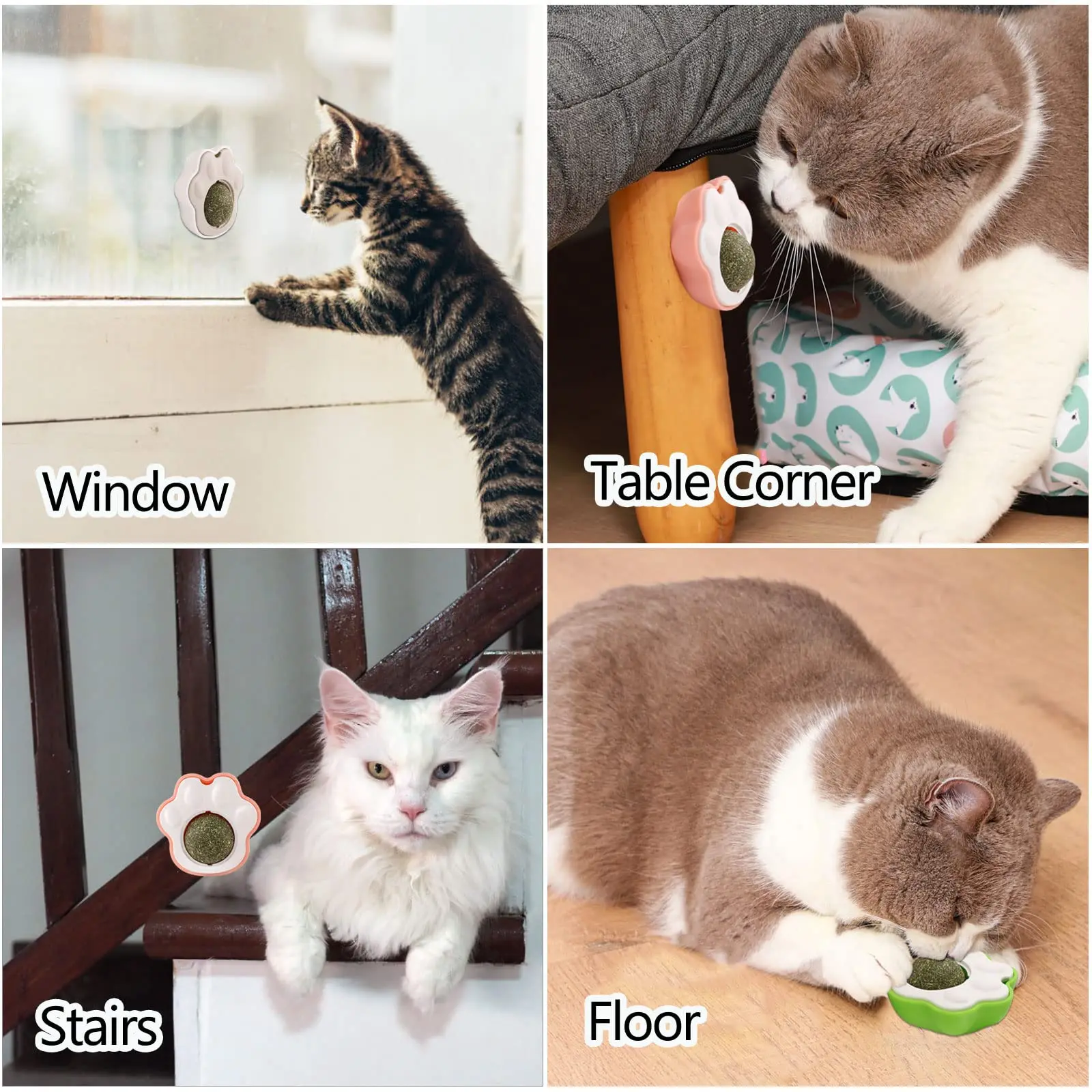 Catnip jucării pentru pisici Pisoi catnip perete bile lins bile pentru Curățarea Dinților Musca Stomatologice Menta Mingea interactive Jucarii Pisica Imagine 3